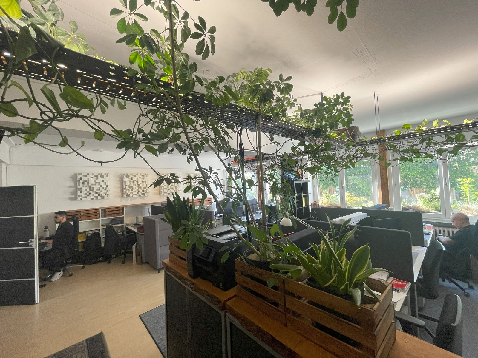 Offener Office-Bereich mit begrüntem Ambiente